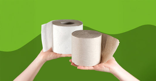 Know Your Paper: Eucalyptus, Pure, Recycled, and Bamboo