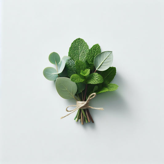 The Benefits of Eucalyptus